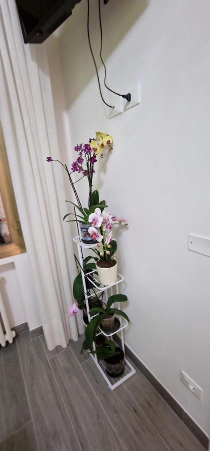 Orchidea Bed and Breakfast Bologna Exteriör bild